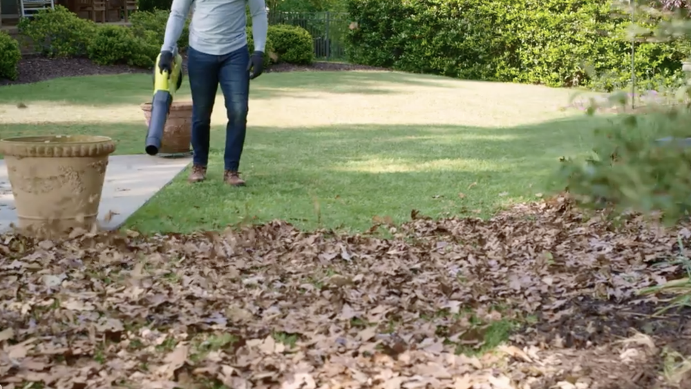 Fall leaves blown with leaf blower